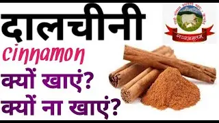 Cinnamon Dalchini Benefits in Hindi | रसोई का मसाला या प्राकृतिक दवा | दालचीनी के फायदे | #youtube