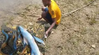 hook fishing video|baam fishing|catching flat fish big tengra fish baam fishes