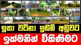 ඉතා වටිනා ඉඩම් අඩුවට ඉක්මනින් විකිණිමට | Land Sale in Sri Lanka | Aduwata Idam, Low Budget Land Sale