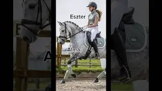 Lovas &eacute;s lovak nevek szerint Part 3 #music #horse #lovak