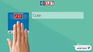 Digital Servo Control Cards- Elet Electronics