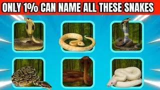 The Ultimate Snake Quiz 😱🐍🐍 | Can You Name Them All?