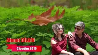 Ahmet BİLGİN   &Ccedil;i&ccedil;eğim 2019