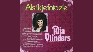 Een Bruidsboeket Van Witte Anjers