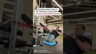 IG - Training The Rectus Femoris