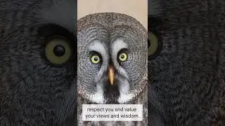 Owl Staring At You Dream #shorts