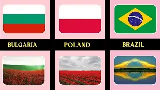 Flag Make In Nature From Different Countries Around The World 🌎