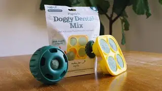 Doggy Dental Mix | Launch Video | Woof