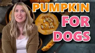 Why You Should Feed Pumpkin To Your Dog