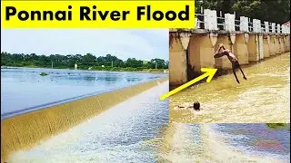 Ponnai River flood | Vellore Flood 2021 | Ponnai anaicut|ponnai river vellore | flooding | bike ride
