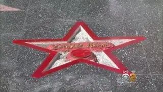 Trump&rsquo;s Walk Of Fame Star Vandalized