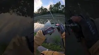 DEEP BAIT IN CASTING FISHING FOR RIVER PREDATOR FISH 🎣☑️ #fishing #baitcasting #angler #lure