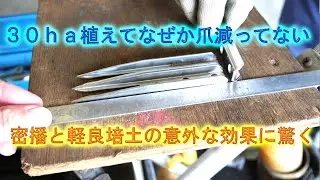 田植え機の爪交換したが意外に摩耗していなくて驚いた・野々市小のミニミニ田んぼの荒起こし・2025