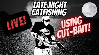 🔴Live! Catfishing using Cutbait and Shad