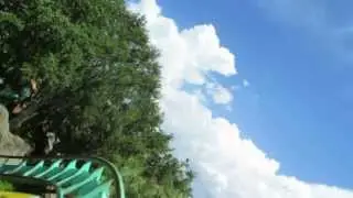 Busch Gardens Kumba Roller Coaster, SX290 + YT Stabilization