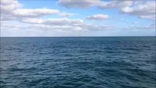 Nature Appreciation: Ocean View from Pier