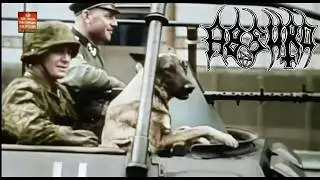 Ａｂｓｕｒｄ - In Blut Geschrieben (Ｄｏｏｍｅｒ ｖｅｒｓｉｏｎ / Music video)