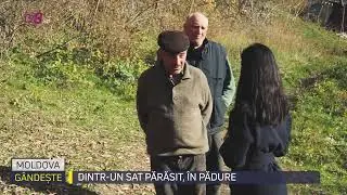 PROMO /Moldova g&acirc;ndește: Dintr-un sat părăsit, &icirc;n padure /26.11.2022