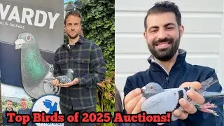 Top Pigeons from Comb. Mantel, Mike Ganus & Ahmad Majid Auctions | PIPA 2025