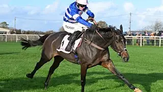Blueking d'Oroux opens chase account in Rising Stars | Racing TV