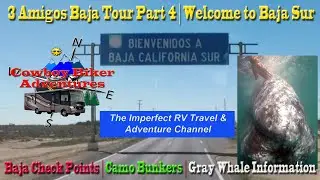 Thrilling Whale Watching in Baja Sur | You will not believe this! | Guerrero Negro