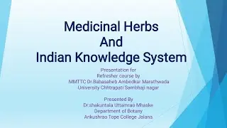 Ancient Indian herbs and their uses 