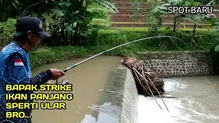 Bapak Mancing Strike Ikan Sidat dan Lele bikin heboh bro..