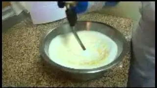 Sugar Coral(02).wmv