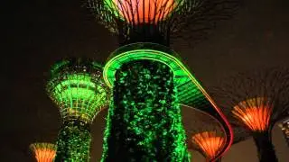 Gardens by the Bay - Garden Rhapsody