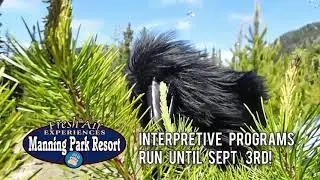 Interpretive Programs!