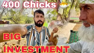 BIG INVESTMENT IN MY BUSINESS | 400 Chicken 🐓 business New Investment For Safety | Mr Asad 