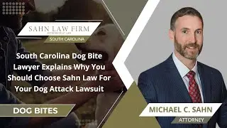 South Carolina Dog Bite Lawyer Explains Why You Should Choose Sahn Law For Your Dog Attack Lawsuit