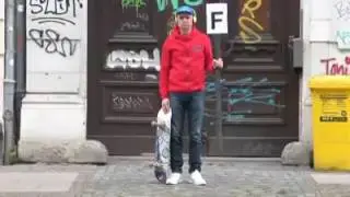 Wenn dieses Lied nicht rankommt w&uuml;rde ich nicht Fun LP hei&szlig;en.