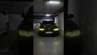 Made In Germany 🇩🇪