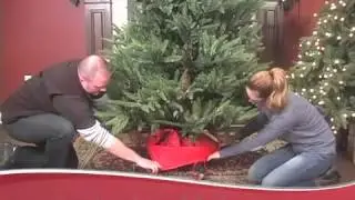 Assembly Instructions - Upright Storage Tree Bag