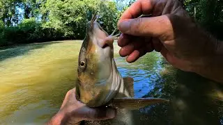 Tutoriel sur la p&ecirc;che aux leurres souples &agrave; l'ultra l&eacute;ger (U.L.)