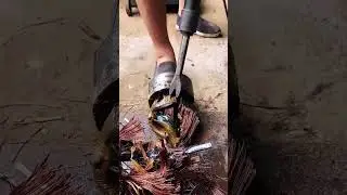 The process of extracting copper coils from an electric motor