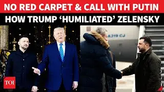 Trump Dials Putin, ‘DUMPS’ Ceasefire & Gives Zelensky ‘Cold Shoulder’: ‘Humiliation’ Before Meeting