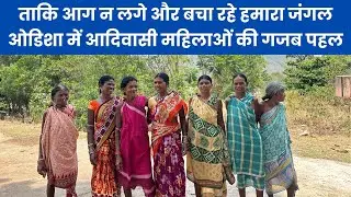 जंगल के रखवाले: ओडिशा की ये आदिवासी महिलाएं कैसे बचा रही हैं जंगल? | IndiaSpend