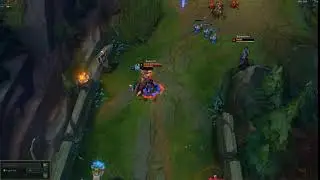 Insect Lee sin