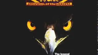 Joust 2 Theme 3