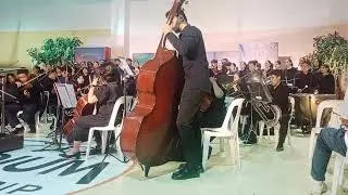 Orchestra 