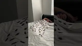 100 Bug Prank #shorts