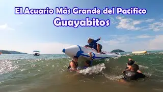 La alberca natural más grande del mundo está en México Guayabitos, Nayarit