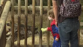 Santa Barbara Zoo hosts Spooky Zoo