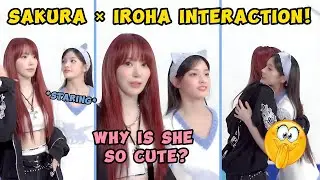 SAKURA and ILLIT IROHA shared a cute and funny interaction (ft. SAKURA&rsquo;s reaction to Iroha&rsquo;s gift) 😍