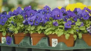 Your Spring Gardening Destination