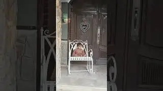 Mohammed sufiyan beautiful house #newsong #punjabisong#video #music#clips #shortsvideo #duet mor..