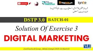 digital marketing exercise 3 digiskills solution 2025 | dstp 3.0 batch 01