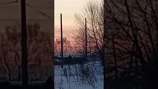 Дорога в стальном свечении &mdash; тёплый луч солнца на заснеженной просёлочной тропе